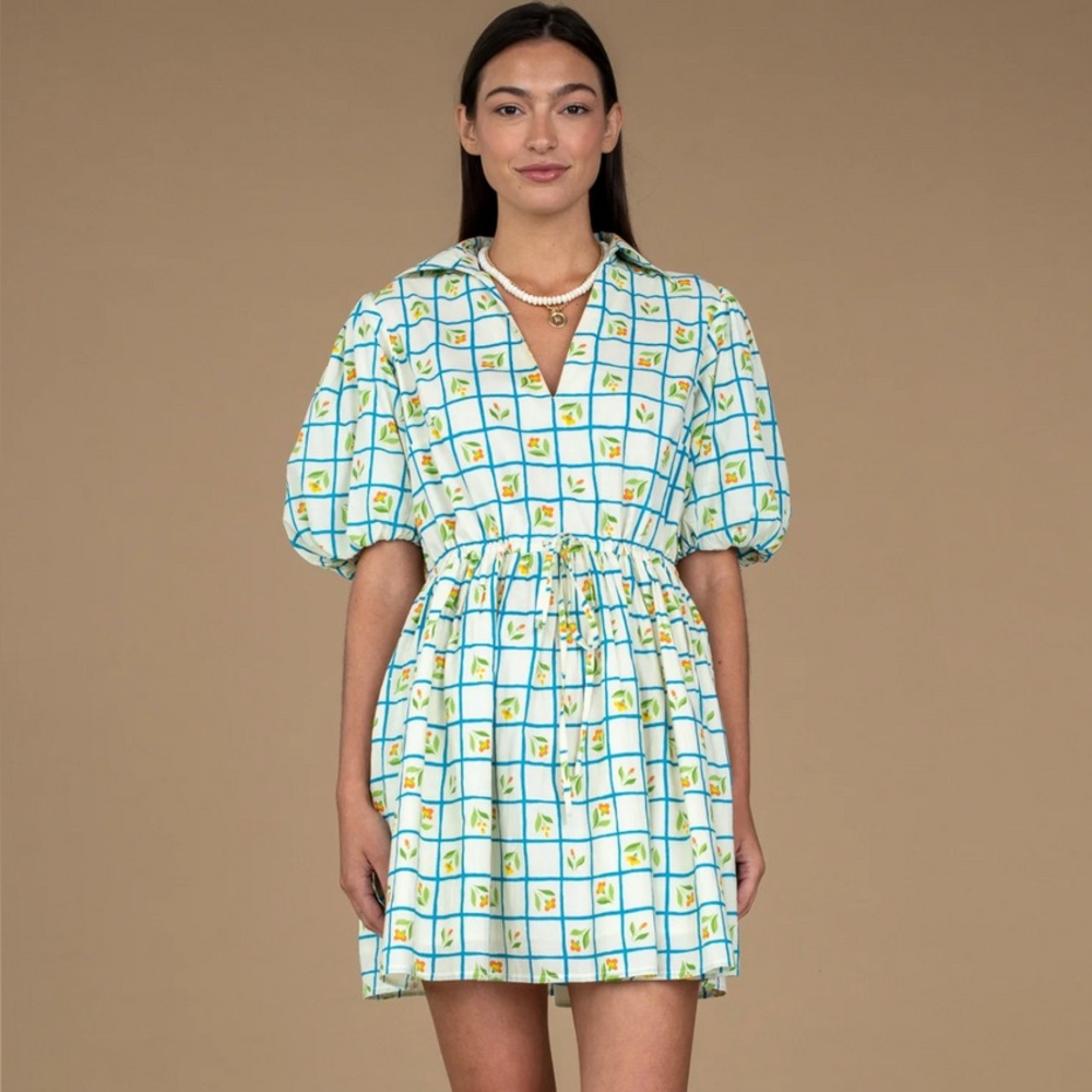 Olivia James NWT Trellis Daphne Dress